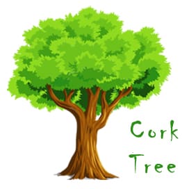 cork-tree